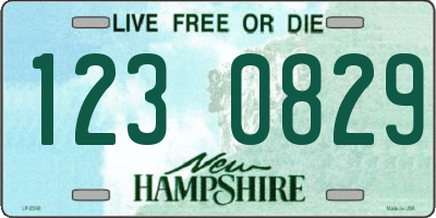 NH license plate 1230829