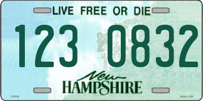 NH license plate 1230832