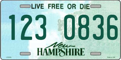 NH license plate 1230836