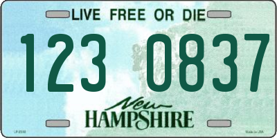 NH license plate 1230837