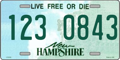 NH license plate 1230843