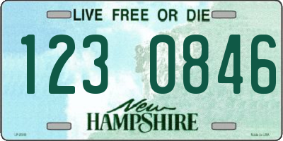 NH license plate 1230846