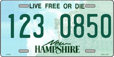 NH license plate 1230850