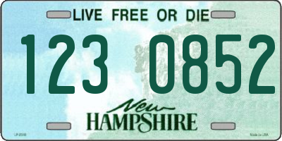 NH license plate 1230852