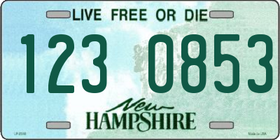 NH license plate 1230853