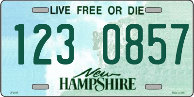 NH license plate 1230857