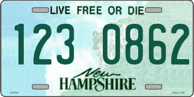 NH license plate 1230862