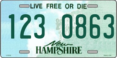 NH license plate 1230863
