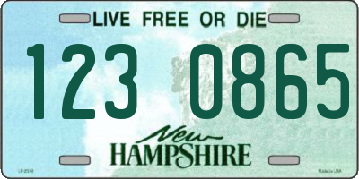 NH license plate 1230865