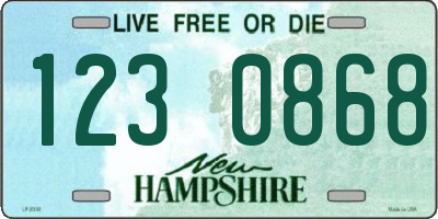 NH license plate 1230868