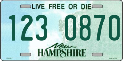 NH license plate 1230870