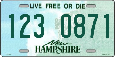 NH license plate 1230871