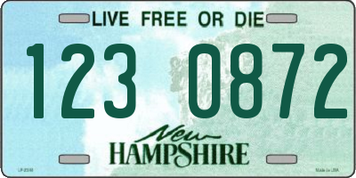 NH license plate 1230872