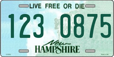 NH license plate 1230875