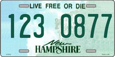 NH license plate 1230877