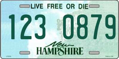NH license plate 1230879