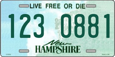 NH license plate 1230881