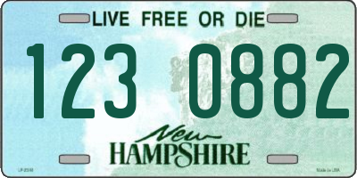 NH license plate 1230882
