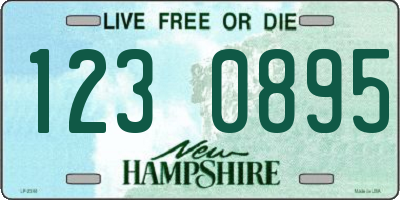 NH license plate 1230895
