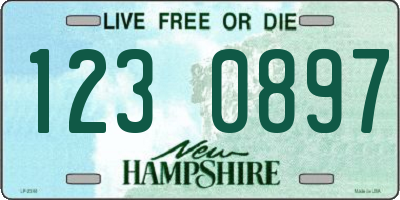 NH license plate 1230897