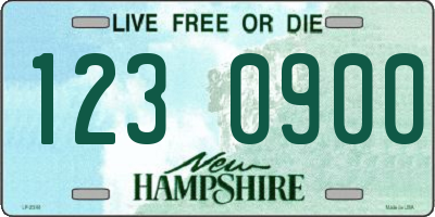 NH license plate 1230900