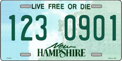 NH license plate 1230901