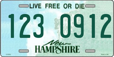 NH license plate 1230912