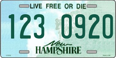NH license plate 1230920