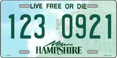 NH license plate 1230921