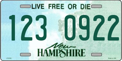 NH license plate 1230922