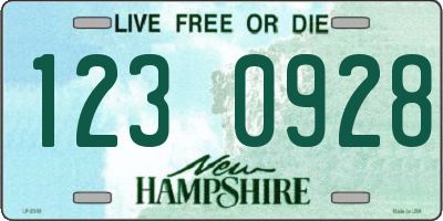 NH license plate 1230928