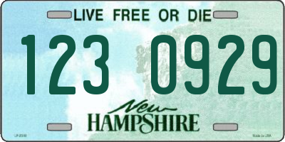 NH license plate 1230929