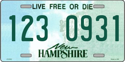 NH license plate 1230931