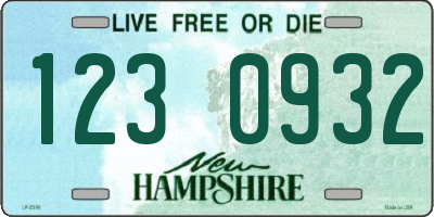 NH license plate 1230932