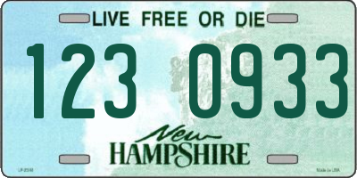 NH license plate 1230933