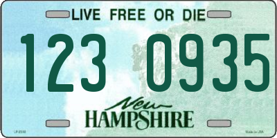 NH license plate 1230935