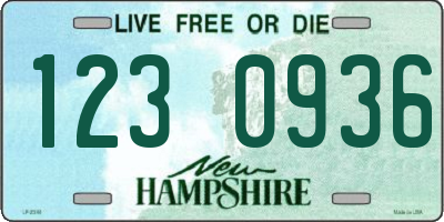 NH license plate 1230936