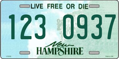 NH license plate 1230937