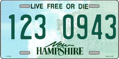 NH license plate 1230943