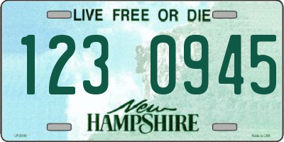 NH license plate 1230945