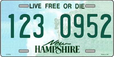 NH license plate 1230952