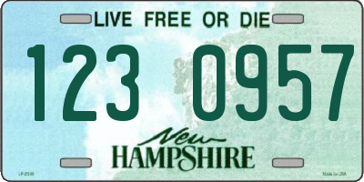 NH license plate 1230957