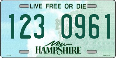 NH license plate 1230961