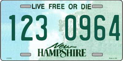NH license plate 1230964