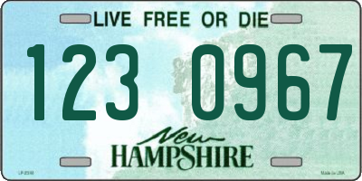 NH license plate 1230967