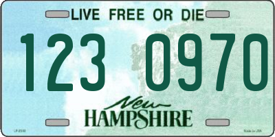 NH license plate 1230970