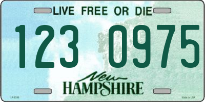 NH license plate 1230975