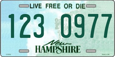 NH license plate 1230977