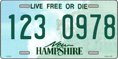 NH license plate 1230978