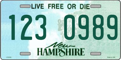 NH license plate 1230989